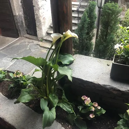 Garni Degli Angioli Hotel Ascona