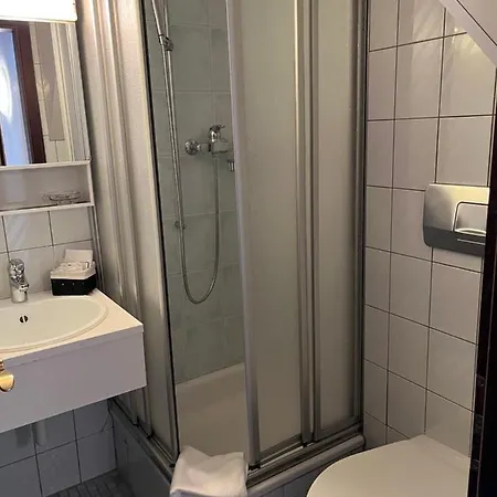 Hotell Garni Degli Angioli Ascona